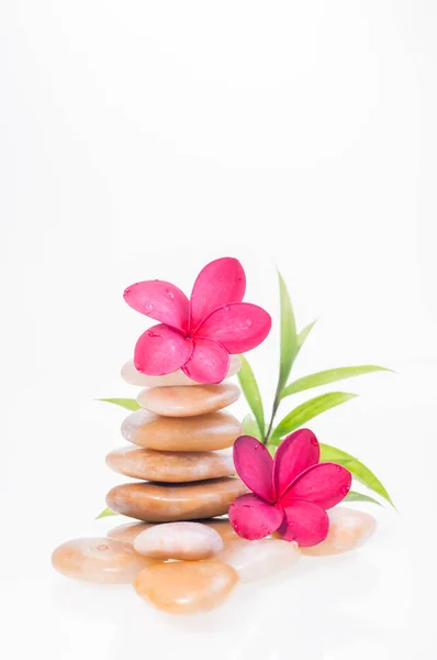 Frangipani Flowers Yellow River Stones Bamboo Plant Background — Stock Photo, Image