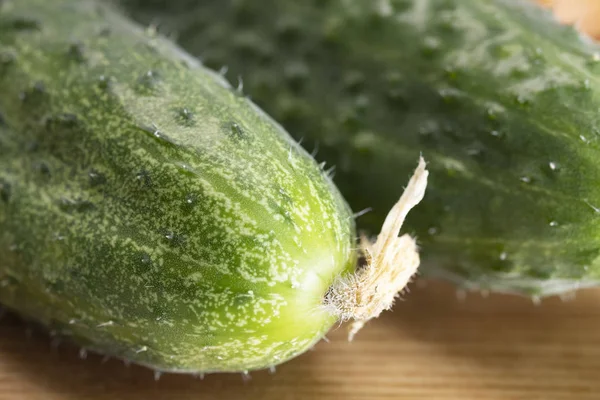 Makro-Foto Lebensmittel Gemüsegurke mit Pickeln. — Stockfoto