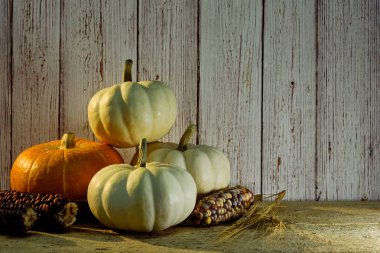 Ahşap arka planda beyaz ve turuncu kabaklar. Hasat sonbahar sebze