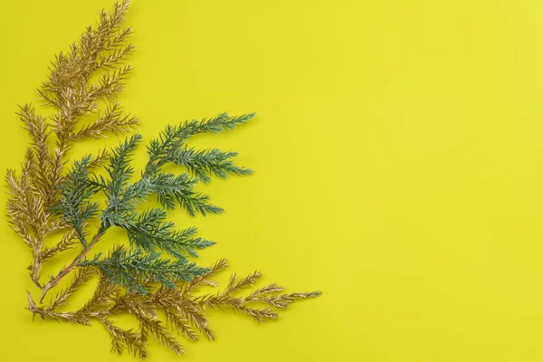Goldene Kiefernzweige und natürlicher grüner Zweig, Weihnachtsdekor auf gelbem Hintergrund. Raum für Text. — Stockfoto