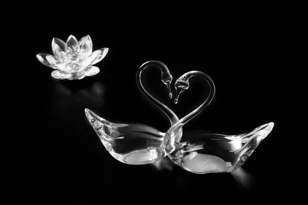 Casal cisnes de cristal com uma flor de lótus de vidro . — Fotografia de Stock