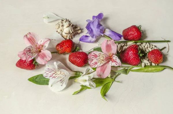 Pink Flowers White Flowers Alstroemerias Purple Iris Strawberry Shells White — Stock Photo, Image
