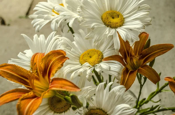 Strauß Großer Gänseblümchen Mit Orangefarbenen Lilien Auf Weißem Hintergrund Aus — Stockfoto