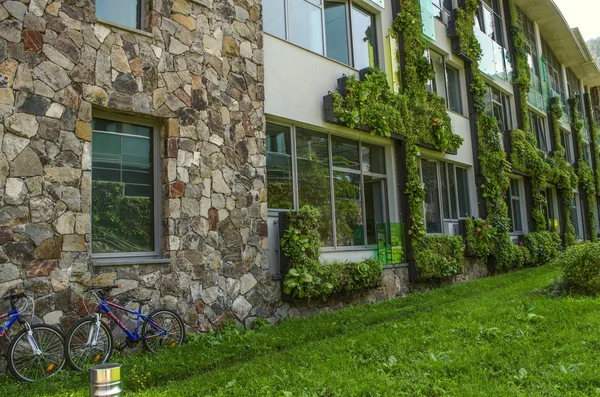 Jardines colgantes de plantas trepadoras en las fachadas de edificios educativos del Colegio Internacional, en Dilijan —  Fotos de Stock