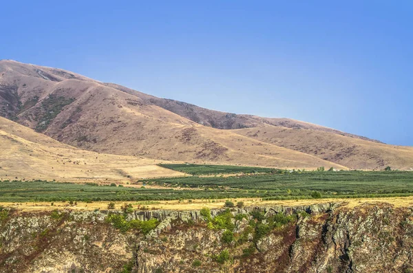 Ashtarak şehri yakınlarındaki Kasakh nehri kanyonu üzerindeki Aragats Dağı eteklerinde meyve bahçeleri. — Stok fotoğraf