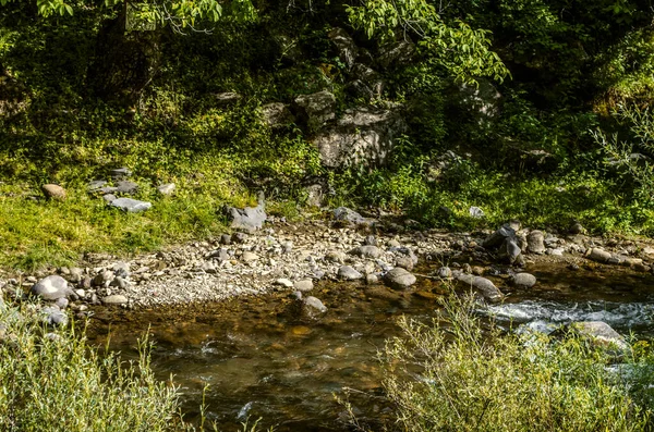 Azat Říční Břeh Mezi Stromy Kameny Řece Přinesl Vodu Hor — Stock fotografie