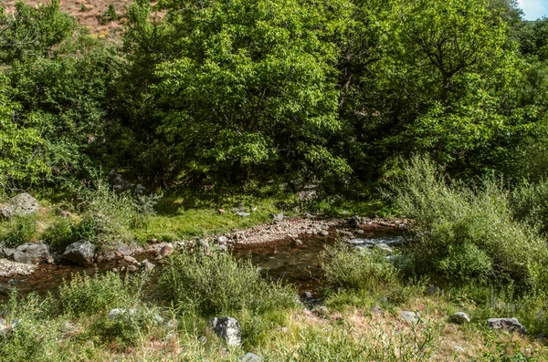 Rzeka Azat Spokojna Letnich Upałów Kamieniami Przywiezionymi Gór Przez Wodę — Zdjęcie stockowe