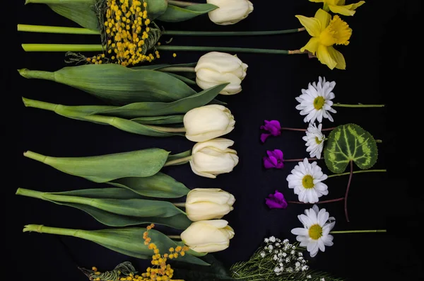 Schwarzer Hintergrund Mit Einer Gruppe Verschiedener Blumen Narzissen Zigeunerblumen Mimosenzweigen — Stockfoto