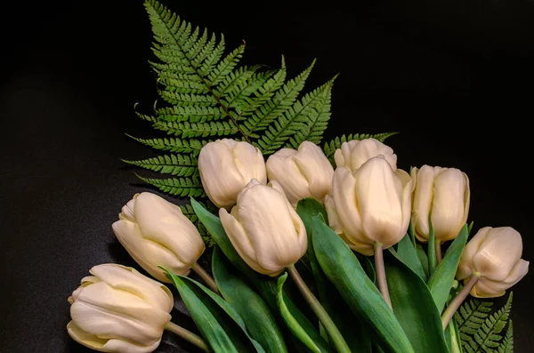 Skupina Bílých Tulipánů Velkými Listy Velkým Krásným Prolamovaným Zeleným Listem — Stock fotografie