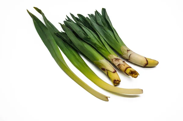 Cut Tubers Young Lanceolate Leaves Early Spring Plant Eremurus Used — Stock Photo, Image