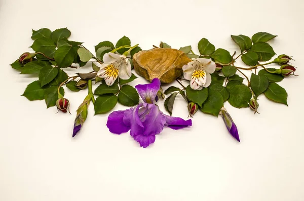 Egy Gyönyörű Darab Travertin Egy Írisz Virág Oldalán Alstroemeria Virágok — Stock Fotó