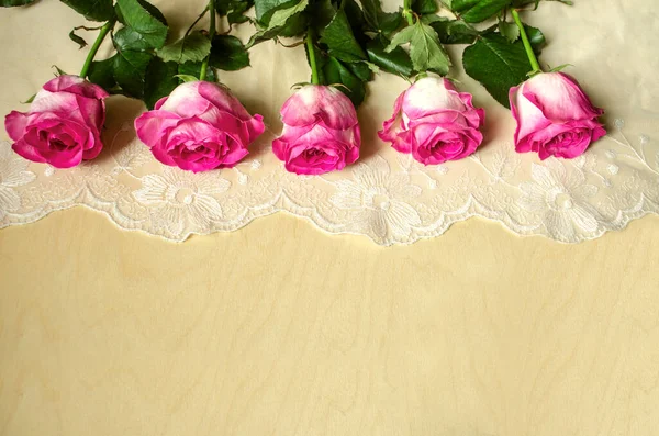 Rand Aus Großen Wunderschönen Rosen Mit Blütenblättern Weiß Mit Rosa — Stockfoto