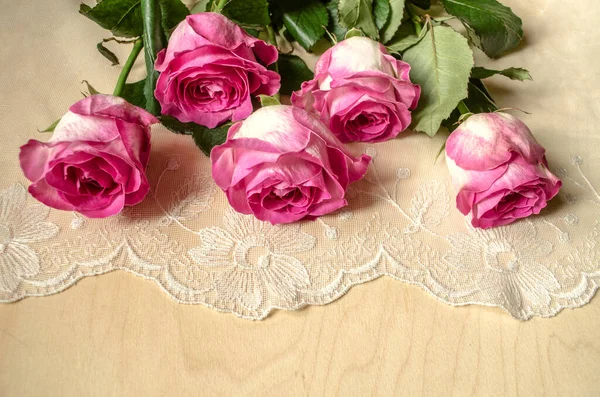 Bukiet Wielkich Wspaniałych Róż Płatkami Pomalowany Biało Różowym Wokół Krawędzi — Zdjęcie stockowe