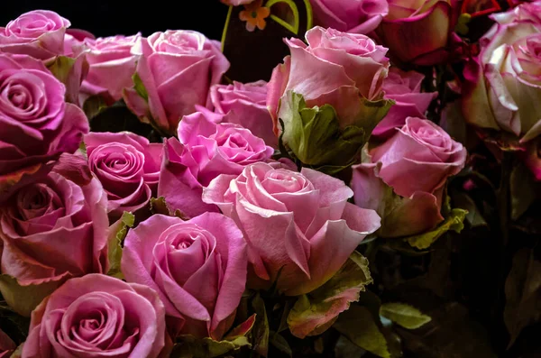Großartiges Bouquet Mit Beleuchtung Auf Wunderschönen Lila Purpurroten Knospen Großer — Stockfoto