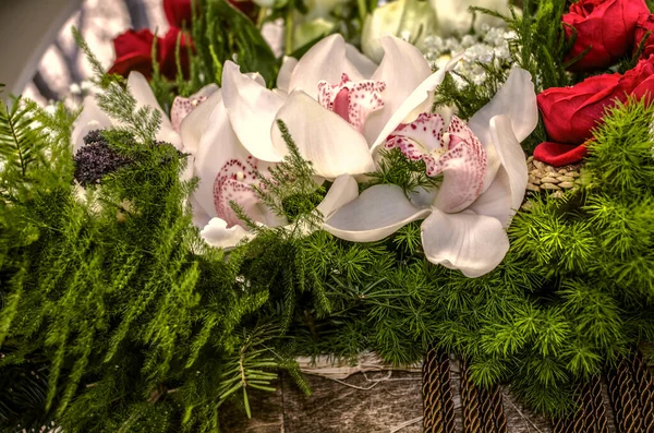 Białe Orchidee Różowym Płatkiem Plamkami Środku Czerwone Róże Oprawione Szparagi — Zdjęcie stockowe