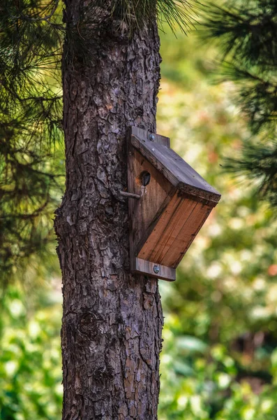 Ein Dreieckiges Holzhaus Mit Einem Runden Ausgangsloch Einem Steilen Dach — Stockfoto