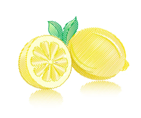 Citrony Listy Stíny Izolované Bílém Pozadí — Stockový vektor
