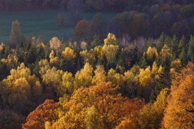 Görkemli manzara sonbahar orman Hills. Sigulda, Letonya, Europe