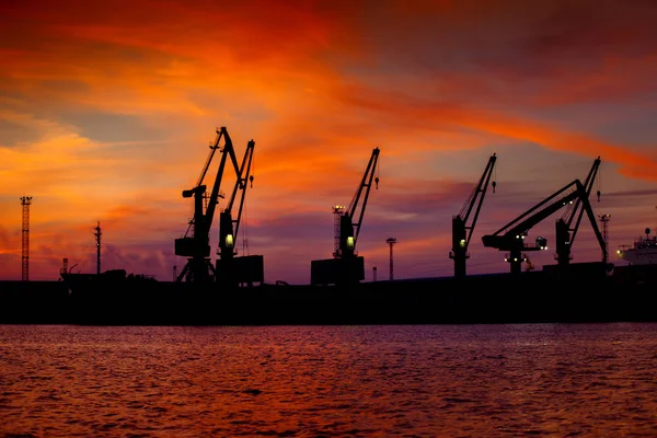 Seaport üzerinde günbatımında vinçler ile görüntüleyin. Akşam kargo Liman Panoraması