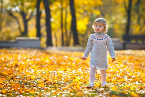 Adorable baby girl walking in autumn park on beautiful autumn day — Stock Photo, Image