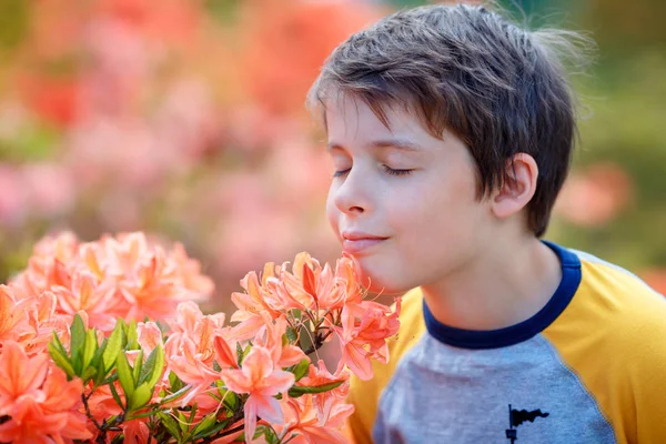 Lente portret van leuke aantrekkelijke 10 jaar oude jongen ruikende bloeiende roze Rhododendron in de tuin — Stockfoto