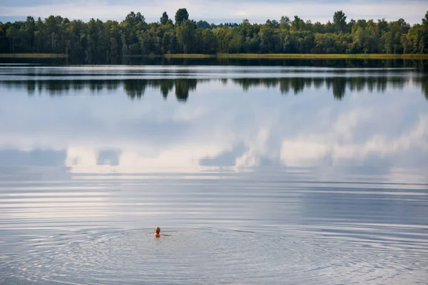 Un lac, un reflet parfait, des nuages et une forêt Photo De Stock