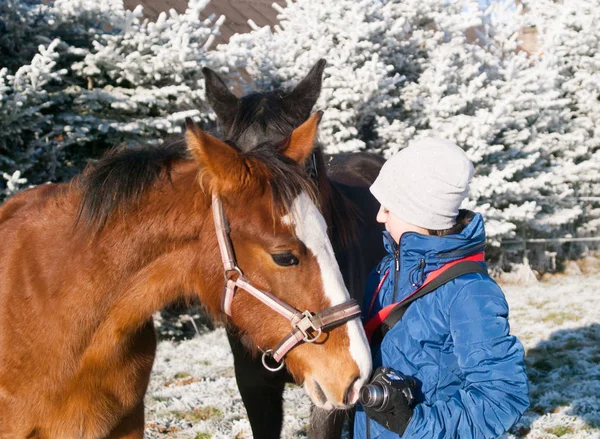 Két Csikó Legelő Fiatal Lány — Stock Fotó