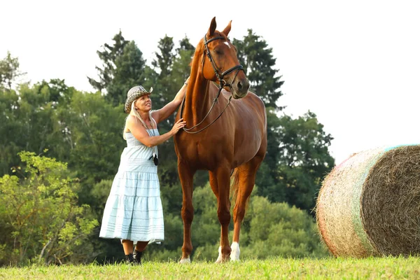 Farmer Woman Dress Stay Chestnut Horse Hay Bale — Stock Photo, Image