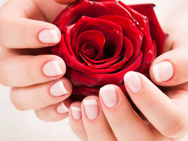 Bella Mano Donna Con Unghie Lucidate Stile Francese Tenuta Rosa — Foto Stock