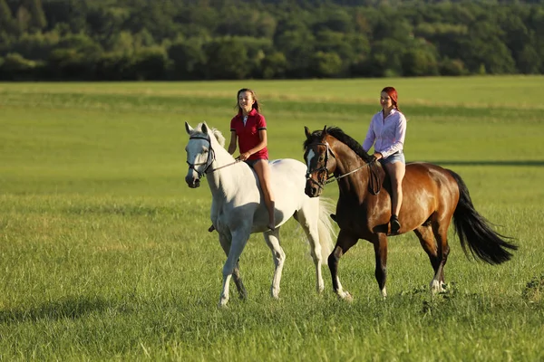 Par Flickor Hästar Igenom Sommar Natur Eftermiddagen Tid — Stockfoto