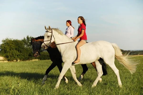 Δύο Νεαρά Κορίτσια Ιππασία Άλογα Στο Περπάτημα Καλοκαίρι Απόγευμα — Φωτογραφία Αρχείου