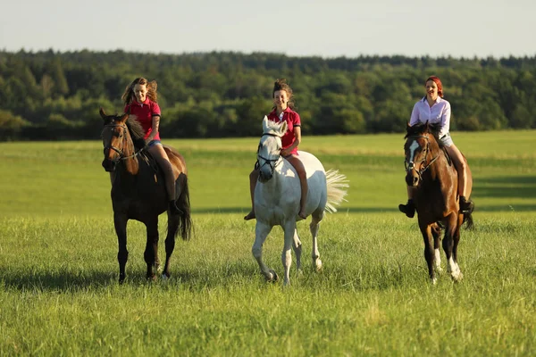 Young Girls Riding Horses Saddle Meadow Summer Afternoon — Stock Photo, Image