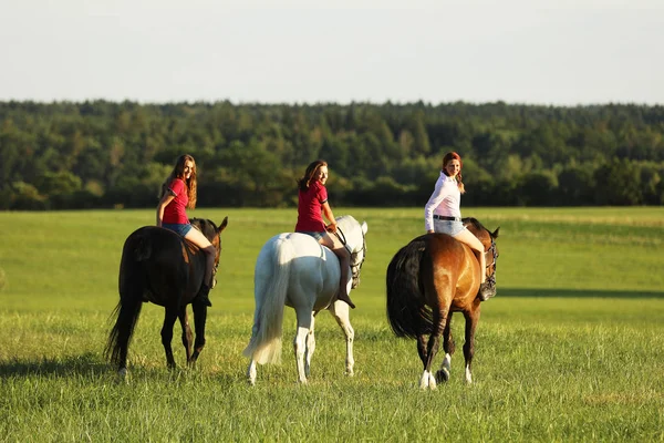 Jeunes Filles Chevauchant Sur Des Chevaux Sans Selle Sur Prairie — Photo