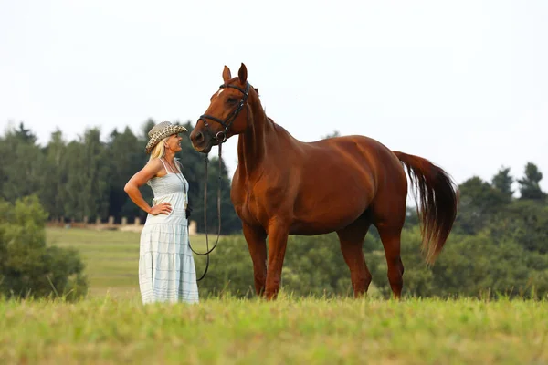 Woman Horse Summer Landscape Pretty Horse Owner Her Pet — Stock Photo, Image