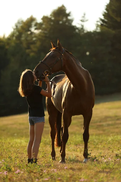 Teenaged Girl Kissing Chestnut Horse Pasture Summer Sunset Meadow Romantic — Stock Photo, Image