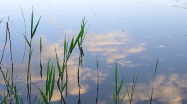 Sudaki bulutların yansıması