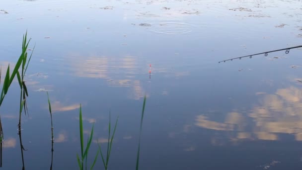 Pêche sur la rivière. — Video