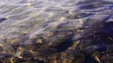 Bir dağ gölü içinde temiz su