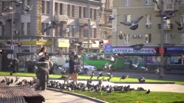 Kız kuşlar beslenir. Ukrayna 17 Kasım 2017