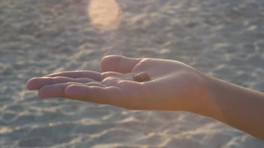 Deniz kabuğu senin avucunun içinde