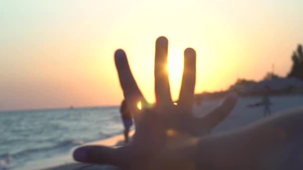 Palma de los niños contra el atardecer en la costa — Vídeos de Stock