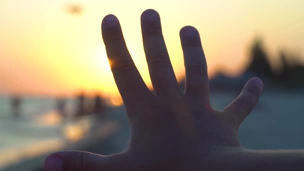 Childs palm tegen de zonsondergang aan de kust — Stockvideo