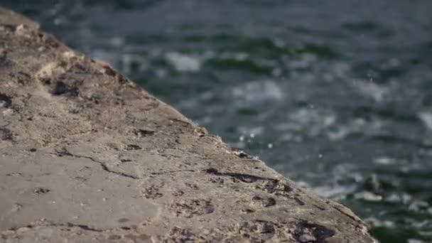 海の防波堤は波によってゆっくりと流される. — ストック動画