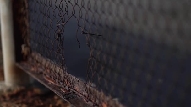 フェンスのメッシュは、錆で覆われています。金属の腐食. — ストック動画