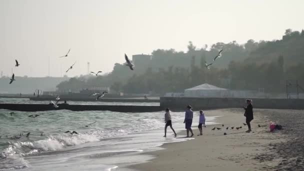 İnsanları bir ıssız deniz plajda martıları beslemek. Ukrayna Karadeniz 18 Ekim 2018 — Stok video