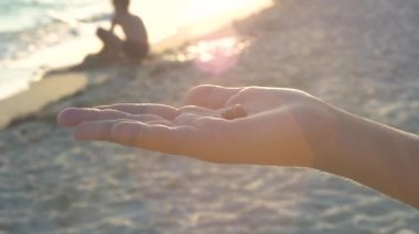 Bir çocuk avuç deniz kabuğu. Gergin el güneş ışığı arka planı. Deniz kıyısında bekletin. Deniz kabuğu senin avucunun içinde