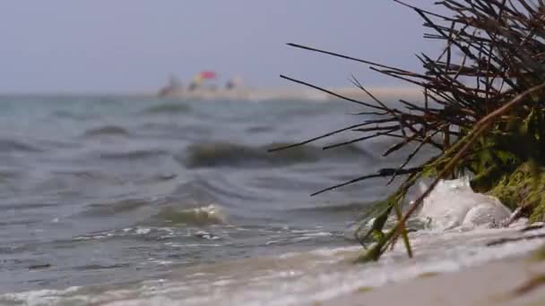 Schmutziges Meerwasser — Stockvideo