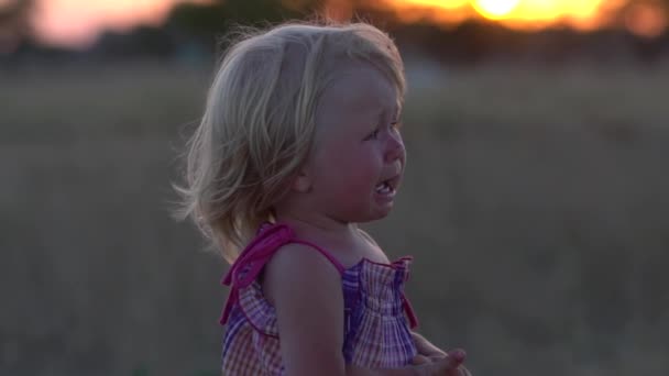 Schreiendes Baby. Kind bei Sonnenuntergang auf der Wiese. Kinder weinen. — Stockvideo