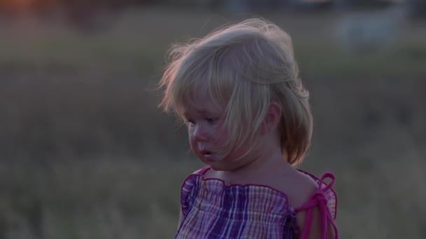 Het kleine meisje is kijken naar de zonsondergang. Het kind bewondert de ondergaande zon in de avond. — Stockvideo