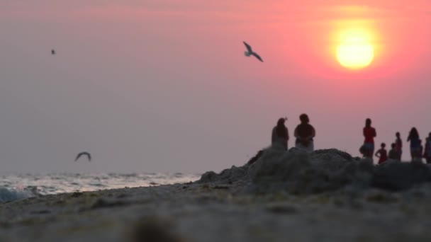 Μια ομάδα ανθρώπων που περπατούν κατά μήκος του ωκεανού το ηλιοβασίλεμα. — Αρχείο Βίντεο